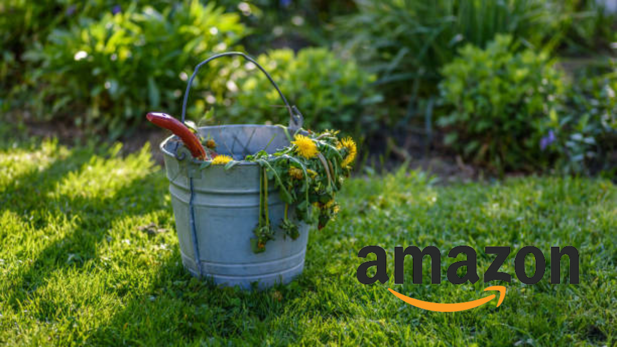 Quita la maleza aprovechando esta oferta de Amazon.