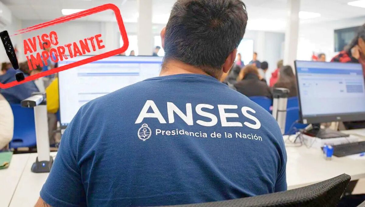 ANSES: antes que termine junio