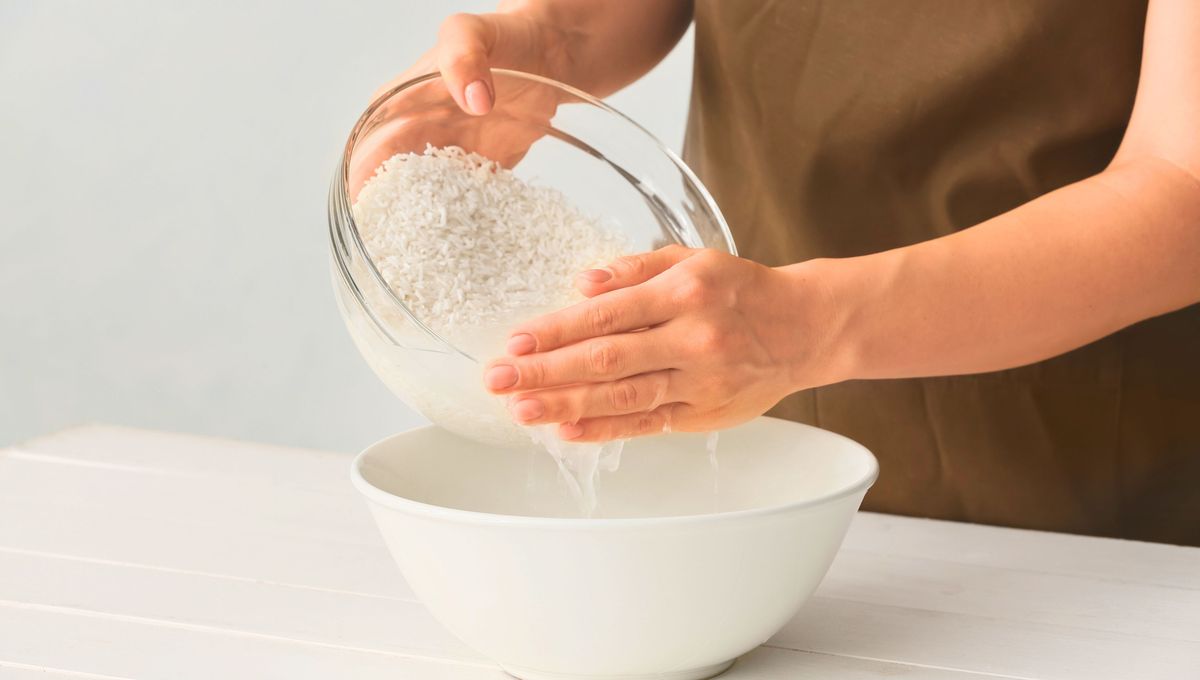 Los fertilizantes naturales son ideales para nutrir las plantas. Los fertilizantes naturales son ideales para nutrir las plantas. 