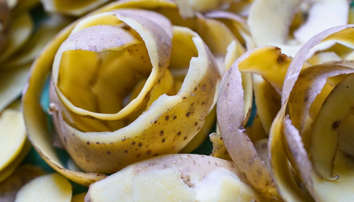 No deseches las cáscaras de papa. Imagen: Freepik