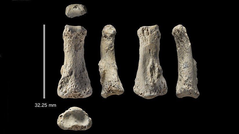 Encontraron un dedo de 85.000 años que podría reescribir la historia de la especie humana