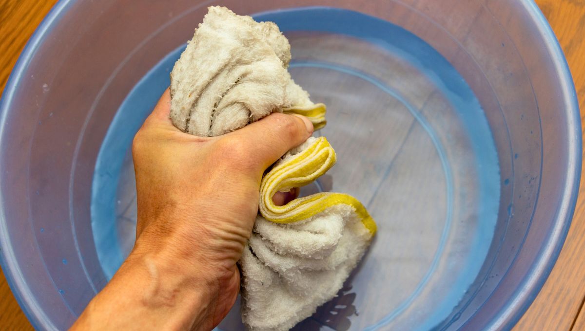 Realiza una limpeiza de los trapos luego de cada uso. Realiza una limpeiza de los trapos luego de cada uso. 