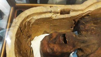 El Cairo exhibió la 