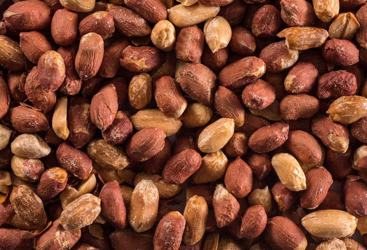 Muchas personas consideran que el maní es un fruto seco, pero en realidad, pertenece a la familia de las legumbres, como la soja y las lentejas. Muchas personas consideran que el maní es un fruto seco, pero en realidad, pertenece a la familia de las legumbres, como la soja y las lentejas.