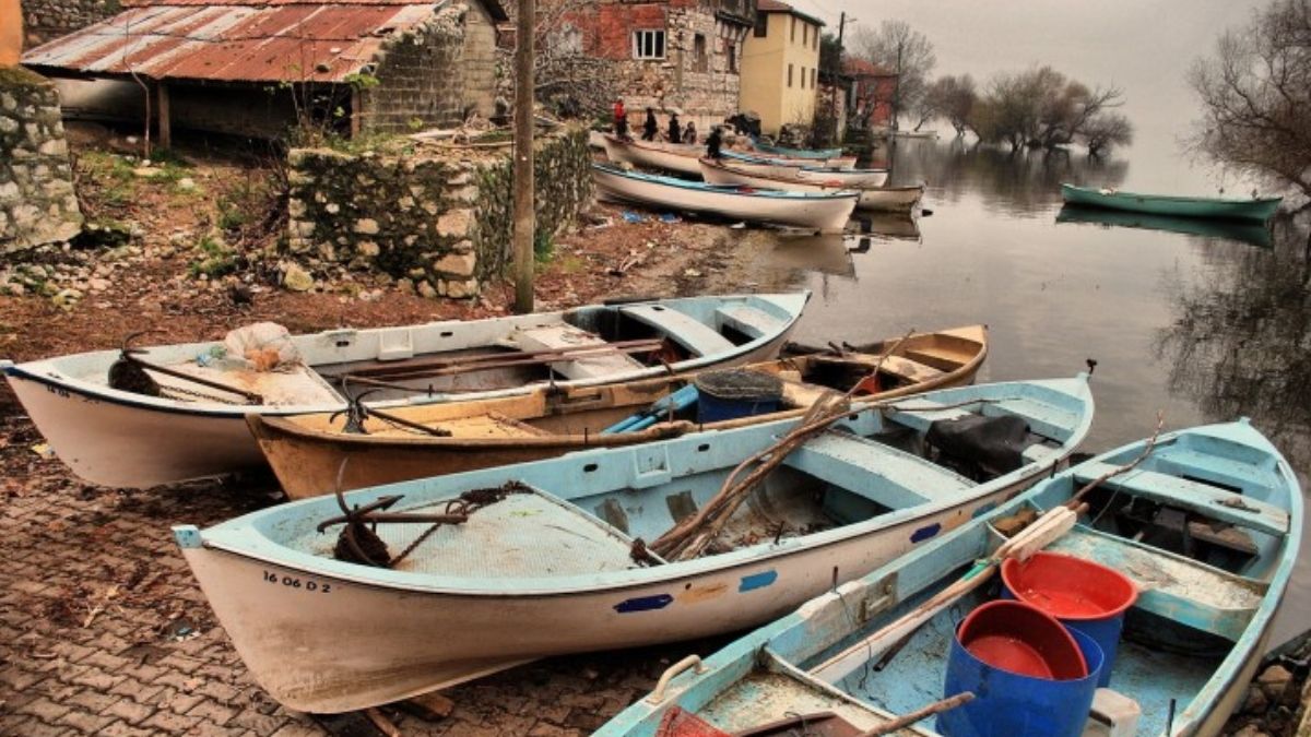 (Foto: Pixabay) (Foto: Pixabay)