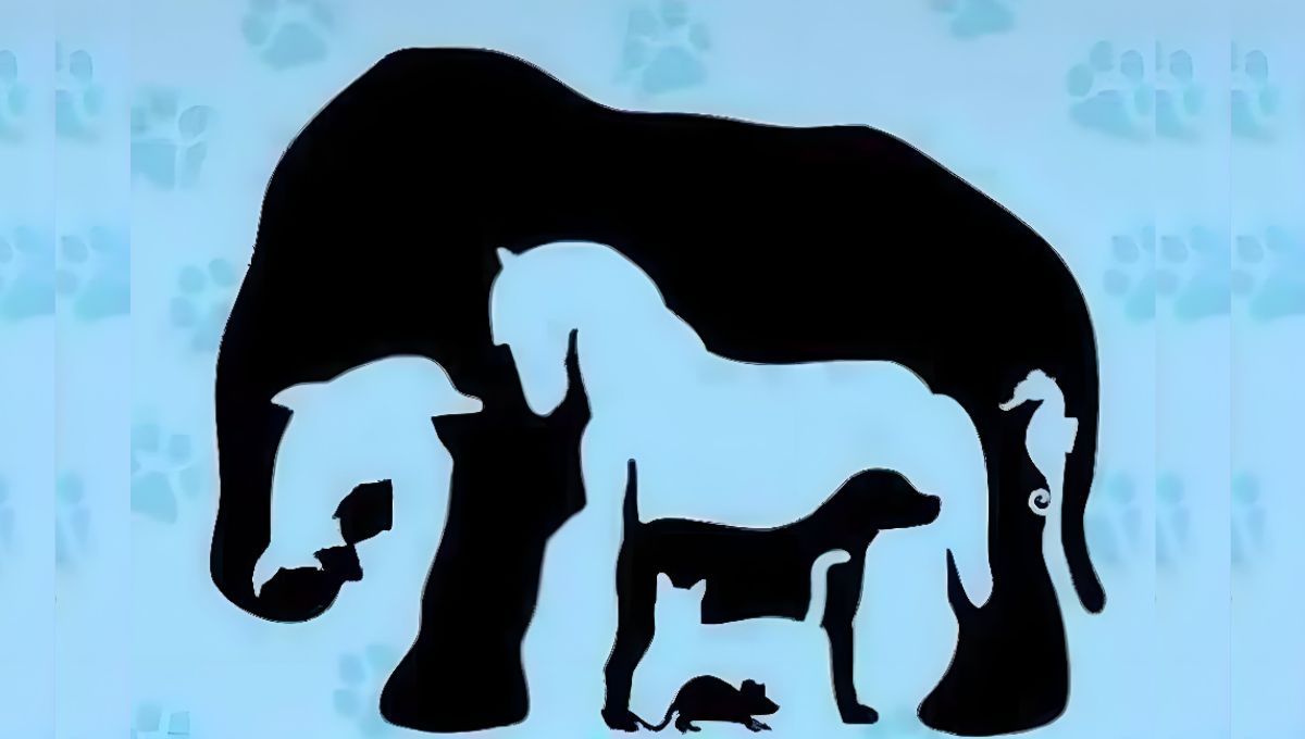 Acertijo visual: solo los que tienen vista aguda podrán descifrar cuántos animales hay en la imagen