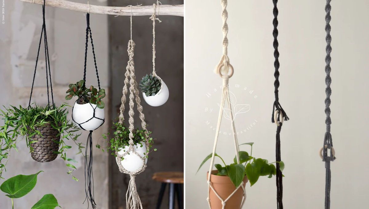 Los colgantes podés combinarlos con cualquier tipo de plantas. Además, pueden colocarse en interiores o exteriores. Los colgantes podés combinarlos con cualquier tipo de plantas. Además, pueden colocarse en interiores o exteriores.