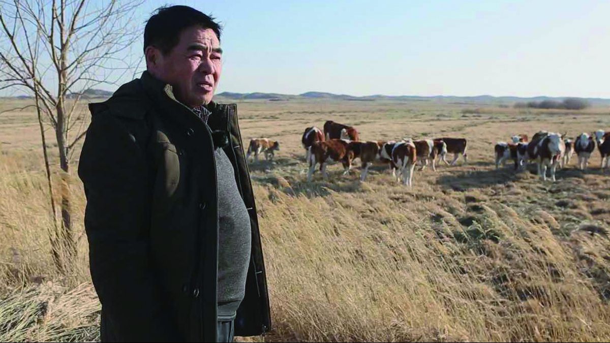 Las praderas impulsan el desarrollo verde