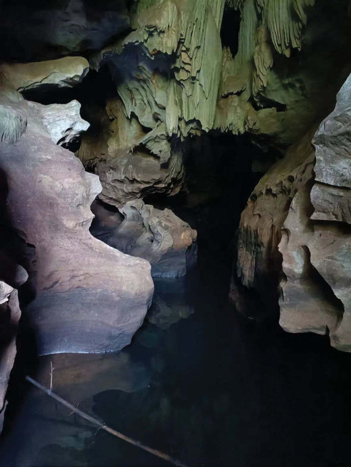 El descubrimiento emocionó a los investigadores. El descubrimiento emocionó a los investigadores.