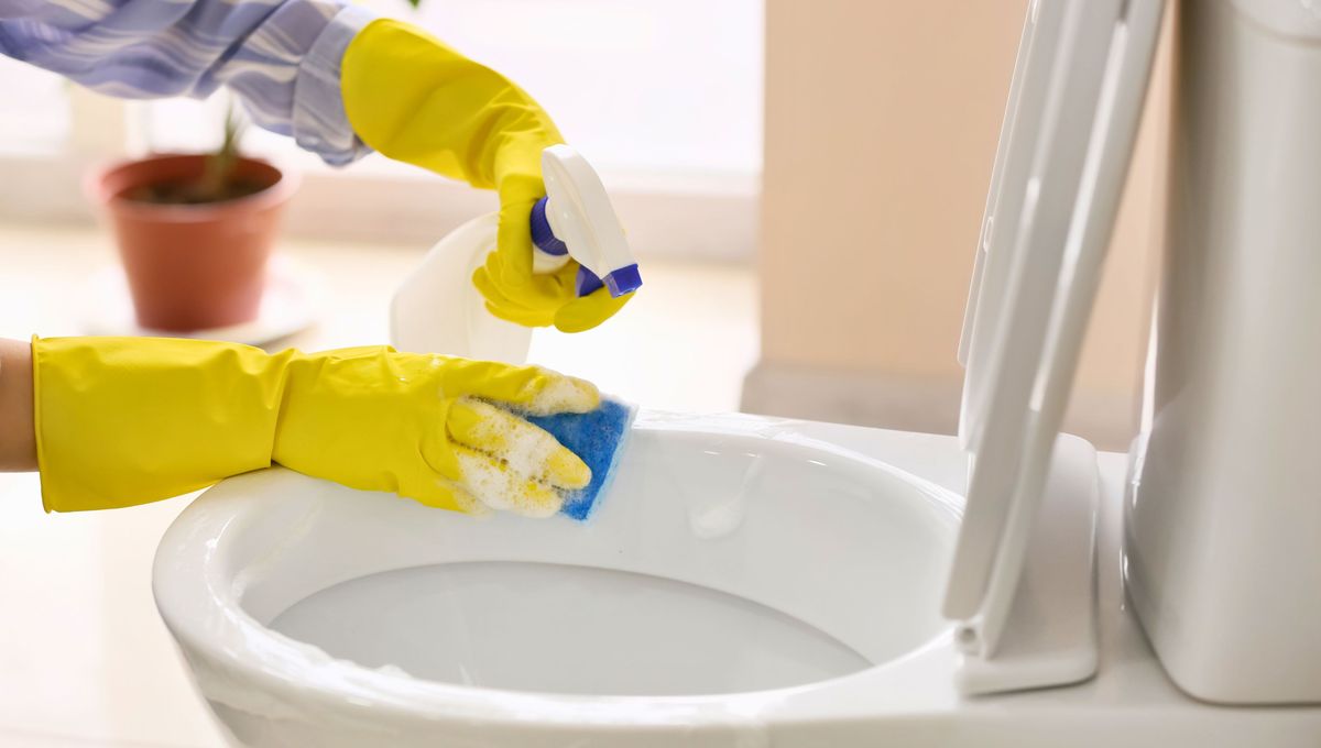 Un truco con vinagre perfecto para mantener el inodoro impecable.