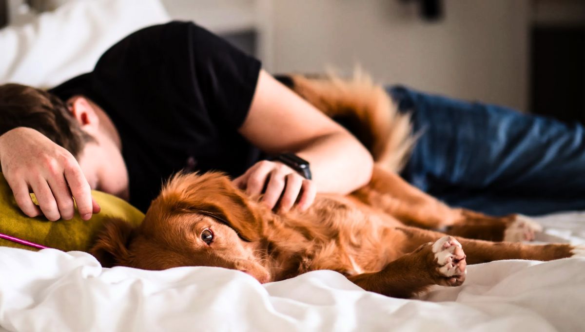 Muchas personas eligen dormir con su perro en la misma cama desconociendo los riesgos de este hábito