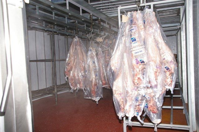 Malargüe exportará carne de chivos a Emiratos Árabes y para esto