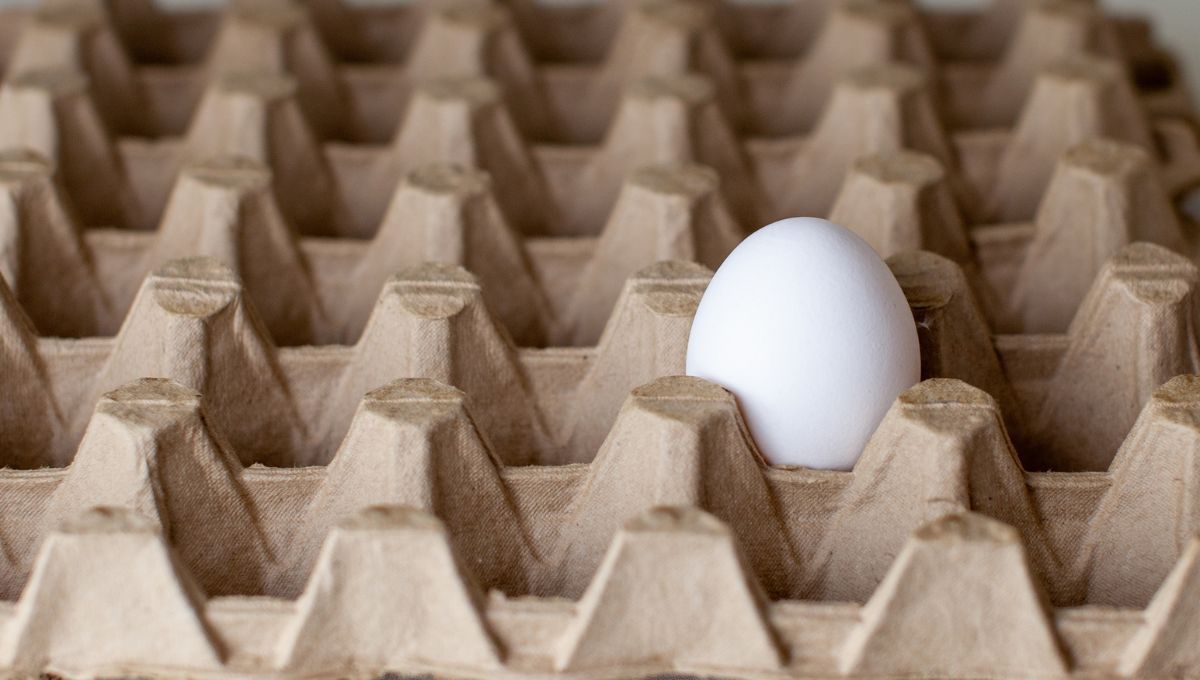 Un maple de huevo puede aprovecharse en muchas ideas de reciclaje. 