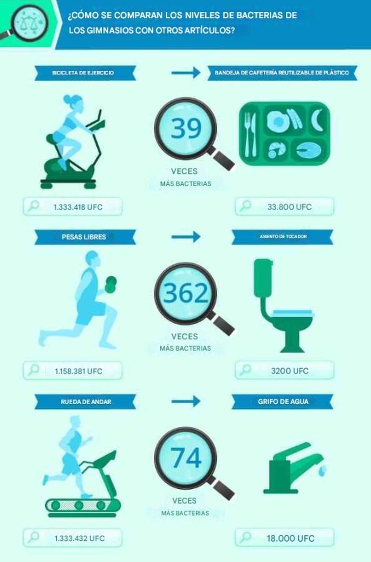 El estudio devela una comparación entre la cantidad de bacterias en los instrumentos del gimnasio y los de uso diario. El estudio devela una comparación entre la cantidad de bacterias en los instrumentos del gimnasio y los de uso diario.