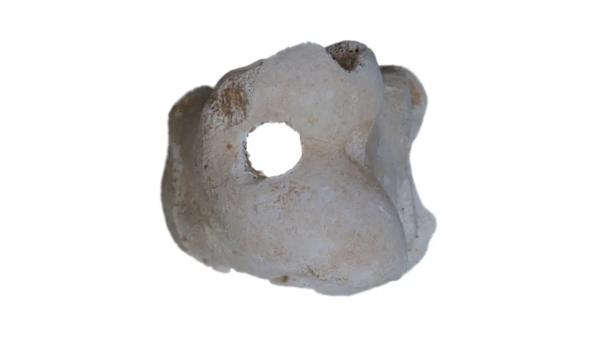 Así era el orificio por donde soplaban los policías del antiguo Egipto. Así era el orificio por donde soplaban los policías del antiguo Egipto.