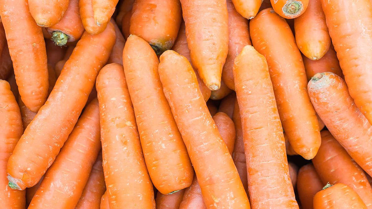 Un brote de E. coli relacionado con zanahorias orgánicas fue reportado en Estados Unidos y se retiraron de los supermercados. Crédito: Freepik.