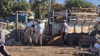 La Policía Rural rescató más de 70 animales en un criadero clandestino de Luján de Cuyo