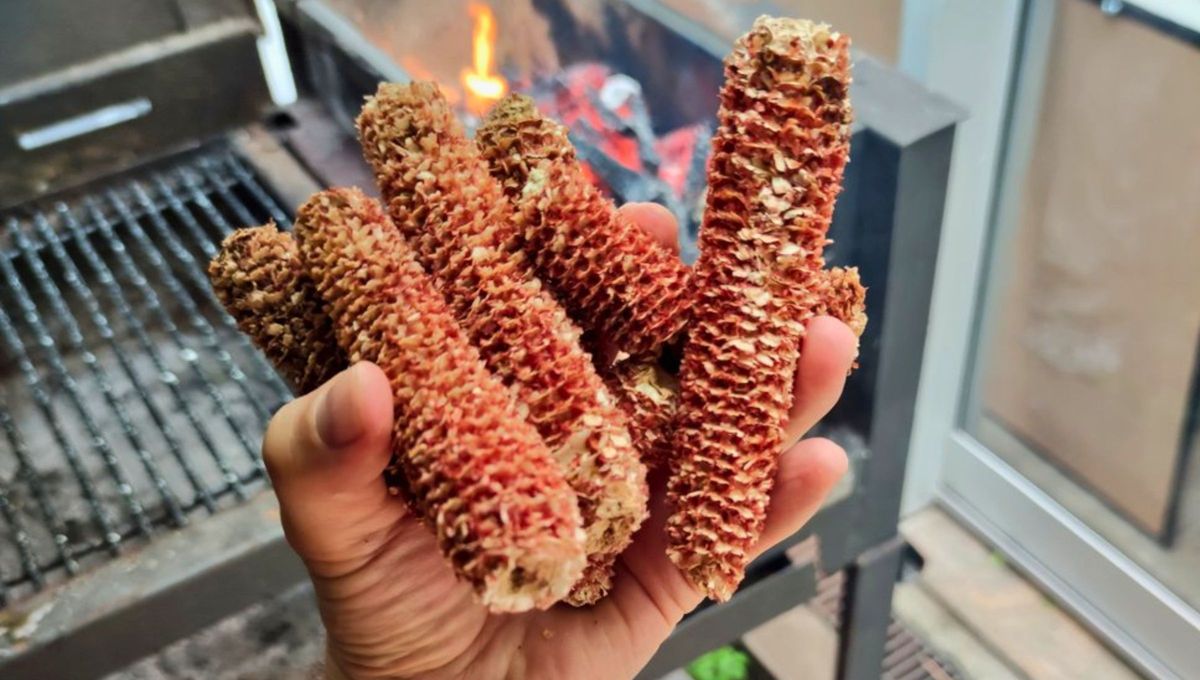 El marlo de choclo es el centro o coraz&oacute;n de la mazorca de ma&iacute;z que queda tras quitarle los granos.