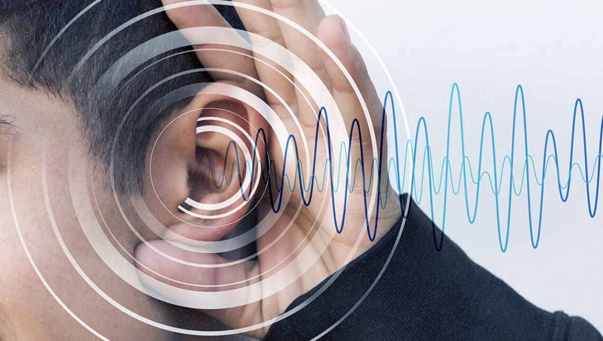 Fuente Clinica Templado Fuente Clinica Templado