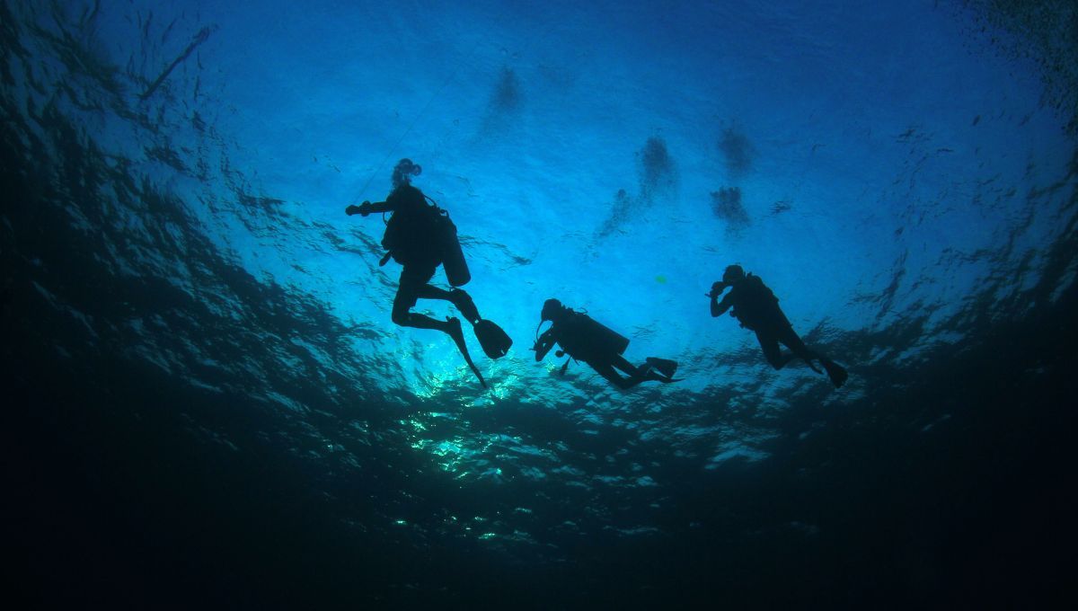 Películas sobre el buceo para reflexionar sobre esta peligrosa actividad