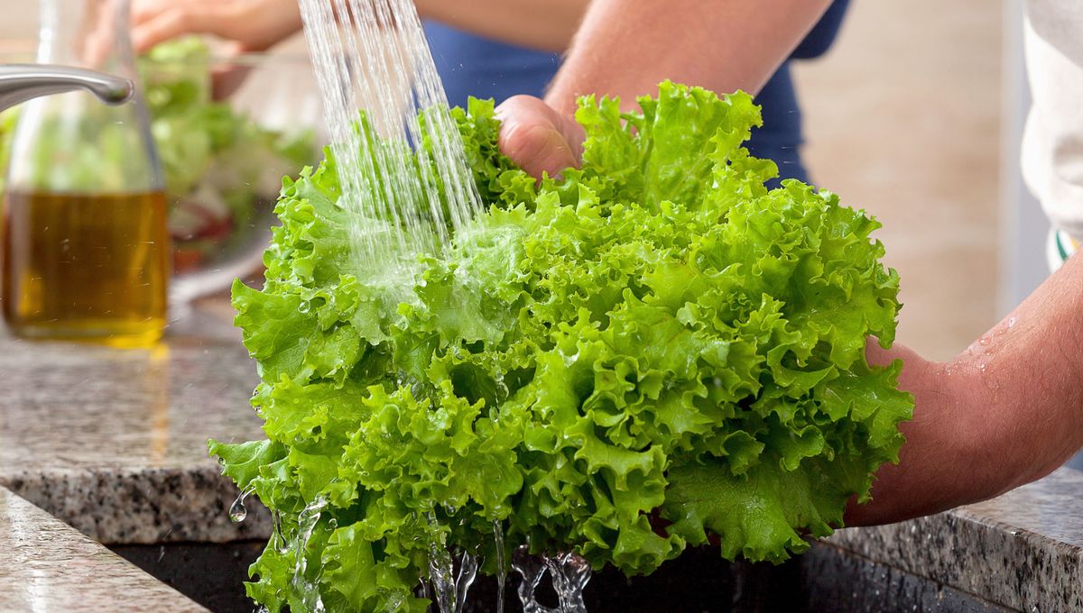 Utiliza siempre vinagre diluido o rebajado con agua para limpiar cualquier alimento. Utiliza siempre vinagre diluido o rebajado con agua para limpiar cualquier alimento. 