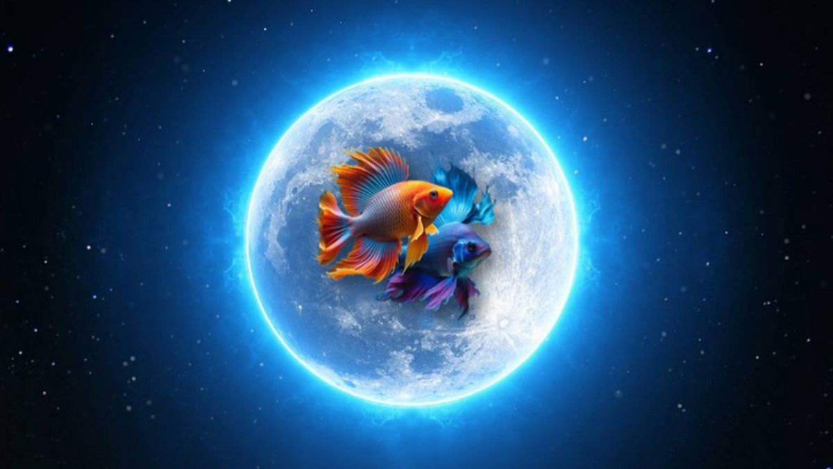 Astrología: los 5 signos que brillarán con el ingreso de la Luna en Piscis