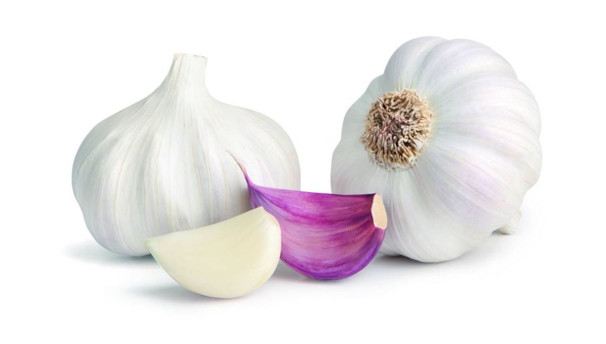 Salud. Beneficios de consumir ajo.