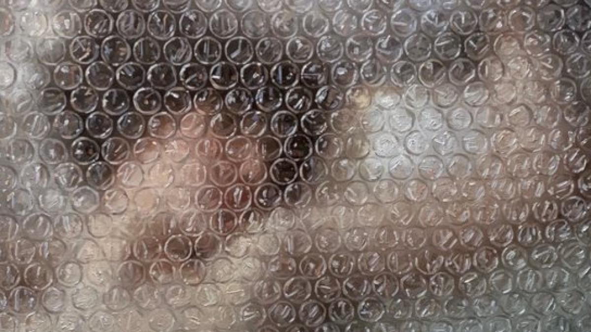 Cómo proteger la casa del frío con este truco casero Cómo proteger la casa del frío con este truco casero