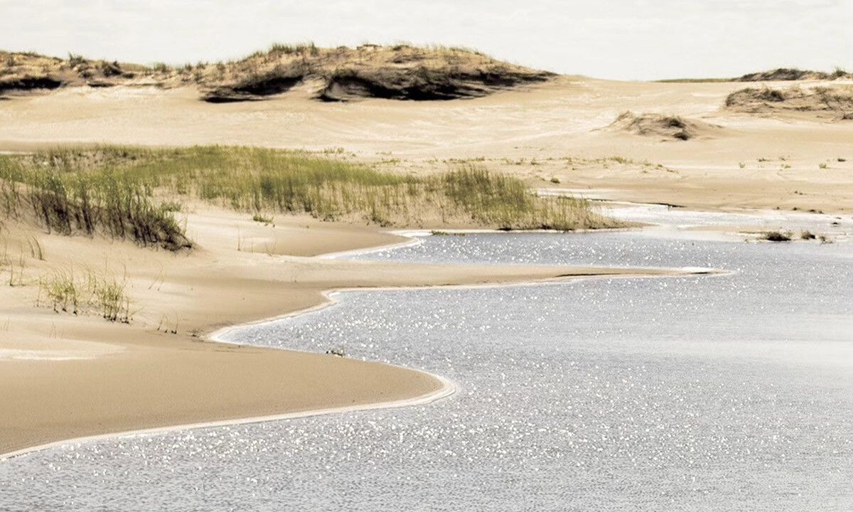 Reserva Faro Querandí Reserva Faro Querandí