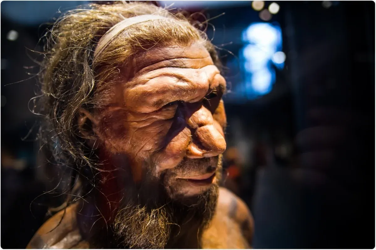 El descubrimiento cambia lo que sabemos sobre los neandertales. El descubrimiento cambia lo que sabemos sobre los neandertales.