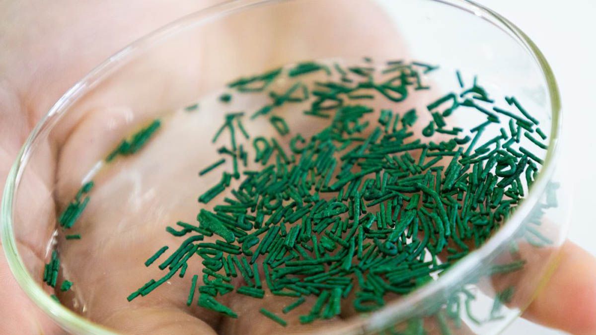 Uno de los momentos del trabajo de Uriel.