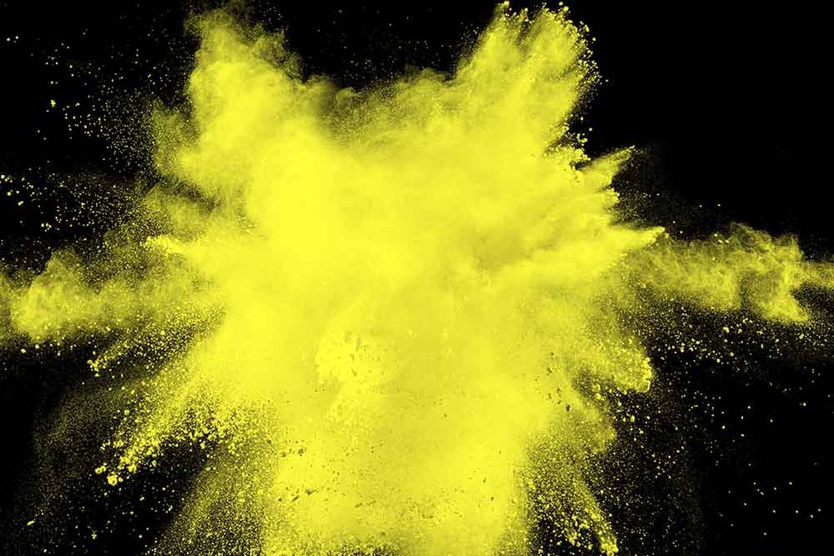 El color amarillo es muy bien percibido por perros y gatos.