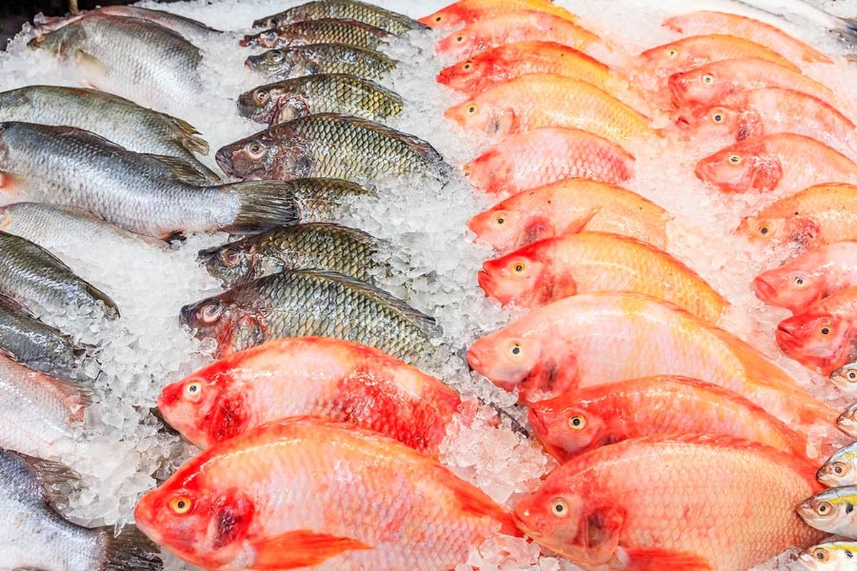 Los trucos caseros para consumir pescado congelado y quede tan rico como el pescado fresco