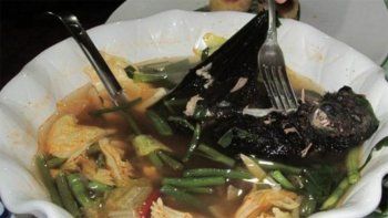 La repugnante sopa de murciélago, en la mira como causante del coronavirus mortal