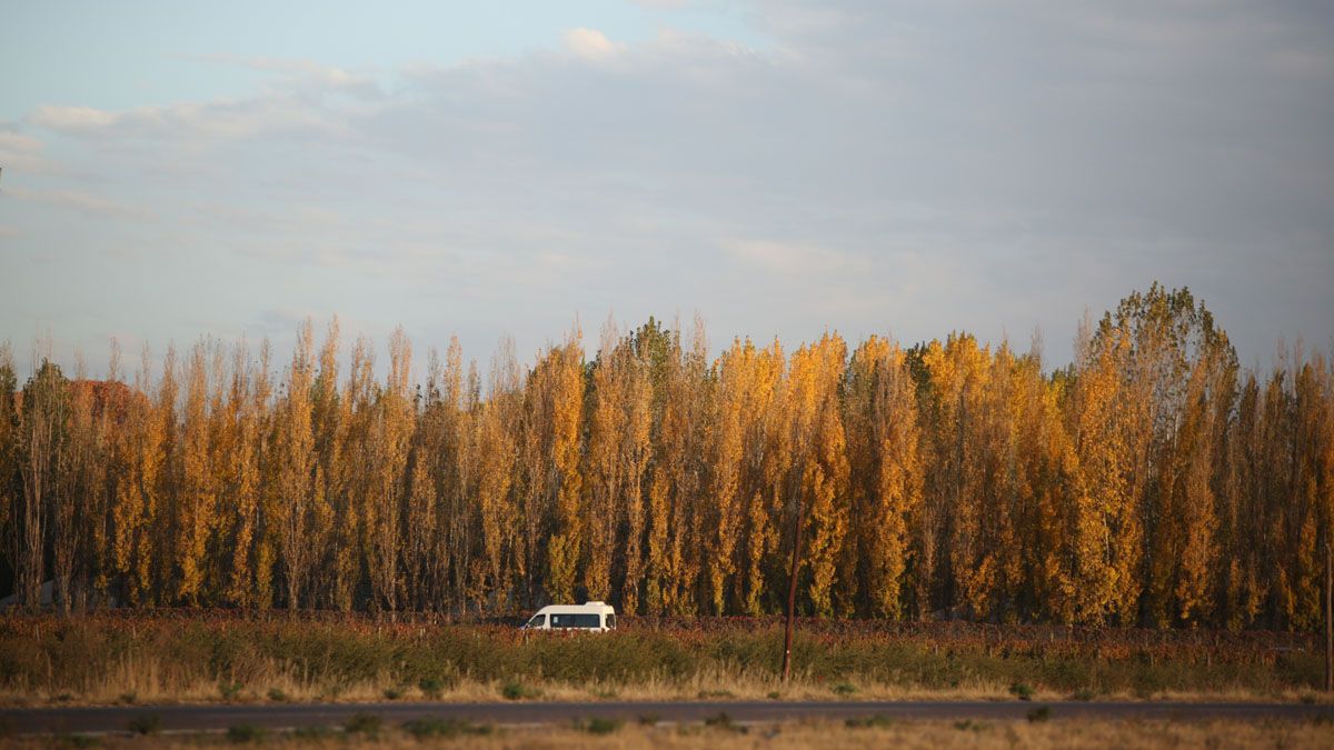 El pronóstico del tiempo en Mendoza anticipa que se vienen jornadas típicas del otoño.