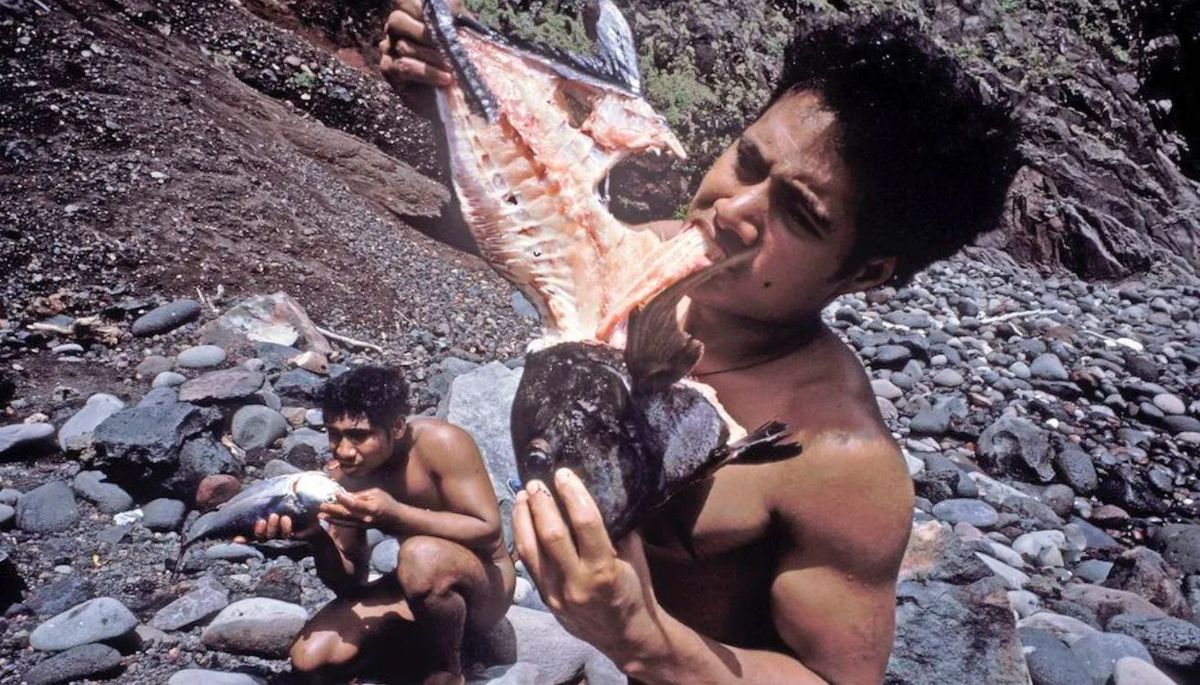 Los primeros días, los jóvenes comían pescado crudo, pues no podían hacer fuego. Los primeros días, los jóvenes comían pescado crudo, pues no podían hacer fuego.