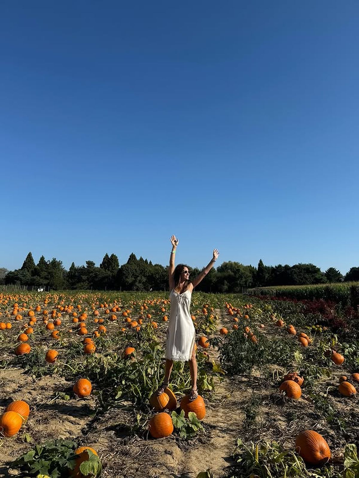 Pampita se mostró feliz desde New York tras la traición de la China Suárez. Pampita se mostró feliz desde New York tras la traición de la China Suárez.