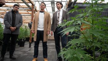 Comenzó a operar la primera empresa de cannabis medicinal habilitada por el régimen provincial Comenzó a operar la primera empresa de cannabis medicinal habilitada por el régimen provincial
