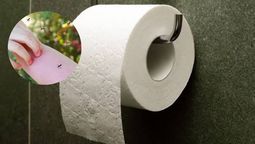 Con un poco de papel, puedes fabricar un repelente casero. Con un poco de papel, puedes fabricar un repelente casero.