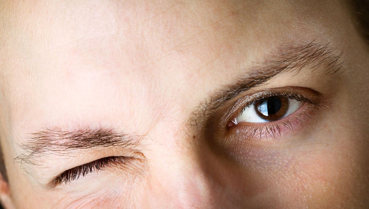 Decir "me titila el ojo" se refiere a una contracción involuntaria de los músculos del párpado Decir "me titila el ojo" se refiere a una contracción involuntaria de los músculos del párpado 