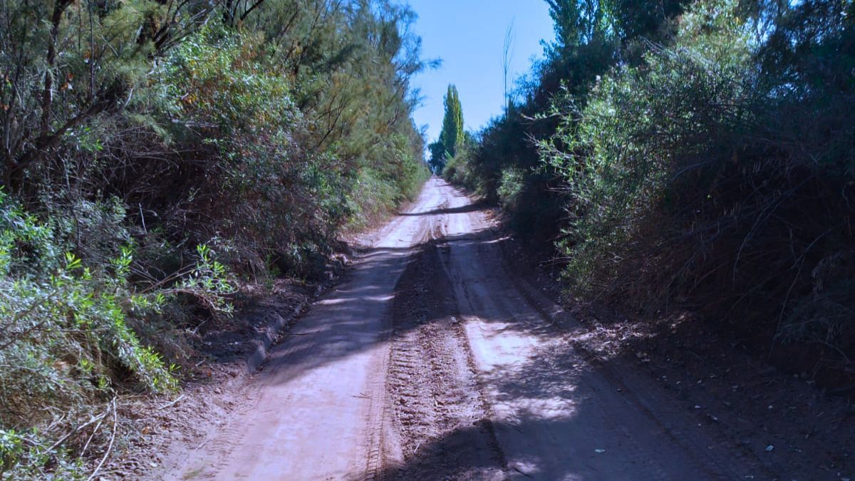Callejones oscuros y peligrosos, especialmente cuando aún no amanece. Callejones oscuros y peligrosos, especialmente cuando aún no amanece.