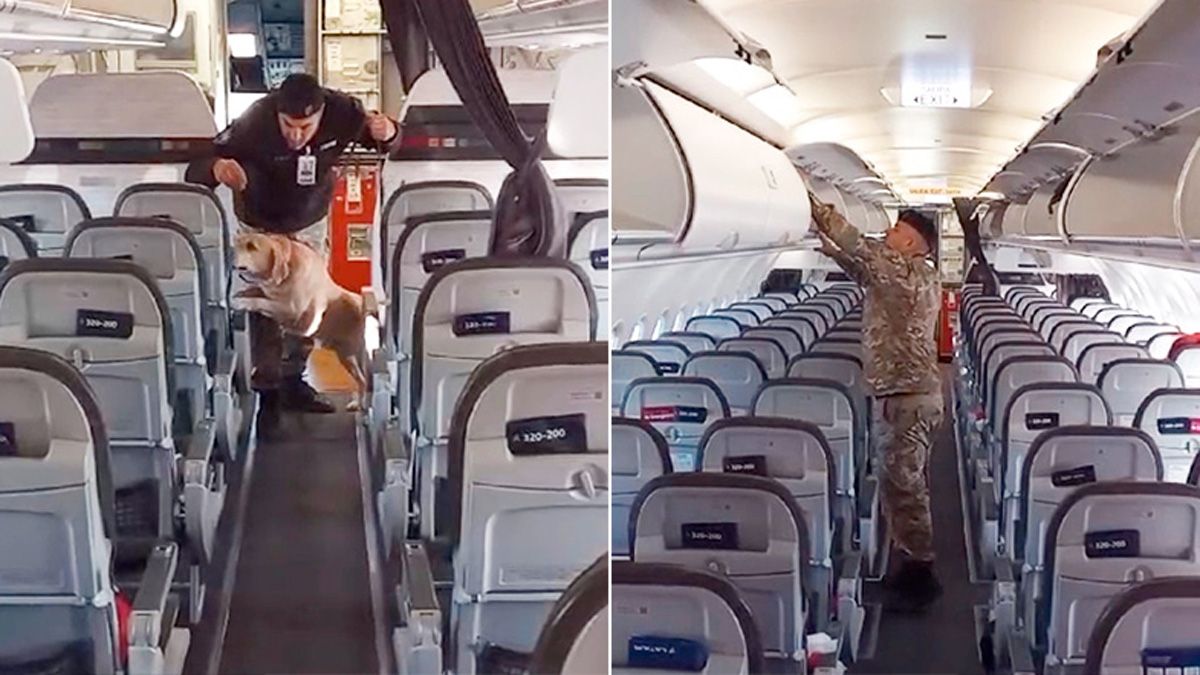 El avión que debía partir desde Córdoba hacia Lima, Perú, fue revisado por personal de la Policía Aeroportuaria y el aporte de perros entrenados El avión que debía partir desde Córdoba hacia Lima, Perú, fue revisado por personal de la Policía Aeroportuaria y el aporte de perros entrenados