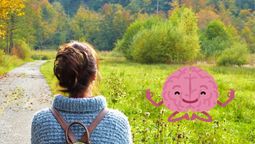 Neurociencia: las personas que caminen en espacios verdes tendrán un efecto positivo en su cerebro. Fuente Canva