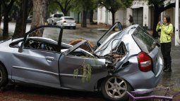 Un enorme árbol destruyó un auto y causó pánico entre los vecinos