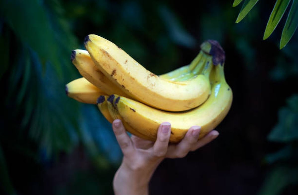 Con este truco, las bananas estar&aacute;n frescas por m&aacute;s tiempo.