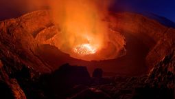 La próxima extinción masiva podría ser predecida.
