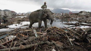 En fotos: lo que el tsunami nos dejó