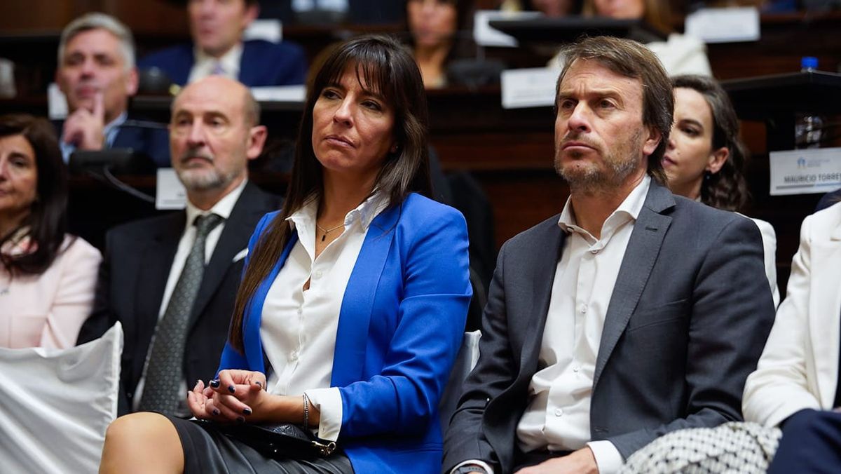 Pamela Verasay y Lisandro Nieri fueron dos de los radicales mendocinos que más batallaron para que se lograra aprobar la Ley Bases. Pamela Verasay y Lisandro Nieri fueron dos de los radicales mendocinos que más batallaron para que se lograra aprobar la Ley Bases.