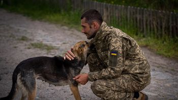 El país sudamericano que más combatientes aporta a Ucrania en su guerra con Rusia El país sudamericano que más combatientes aporta a Ucrania en su guerra con Rusia