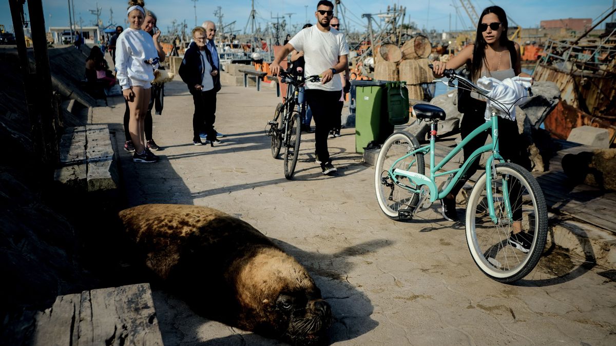 Todos los destinos turísticos tendrán una buena oportunidad para la próxima Semana Santa. Todos los destinos turísticos tendrán una buena oportunidad para la próxima Semana Santa.